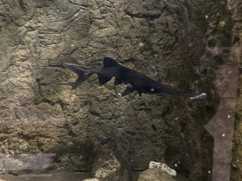 Kid-Friendly Exploration