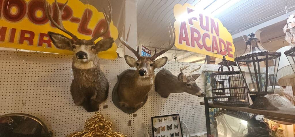 Vintage Clothing & Accessories