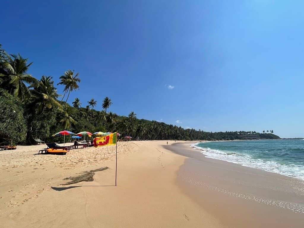 Rock Pools and Shells