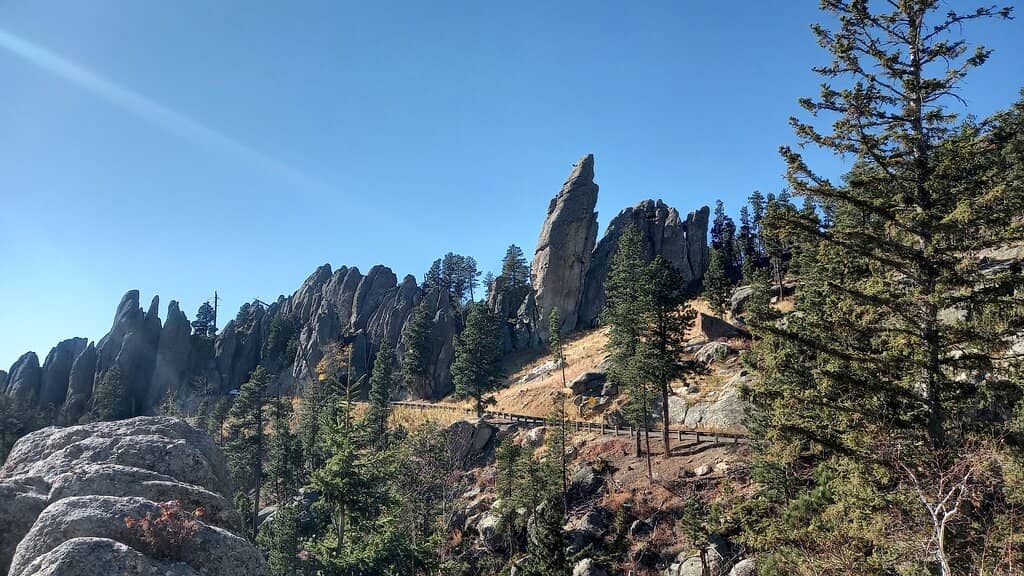 Black Hills Powwow