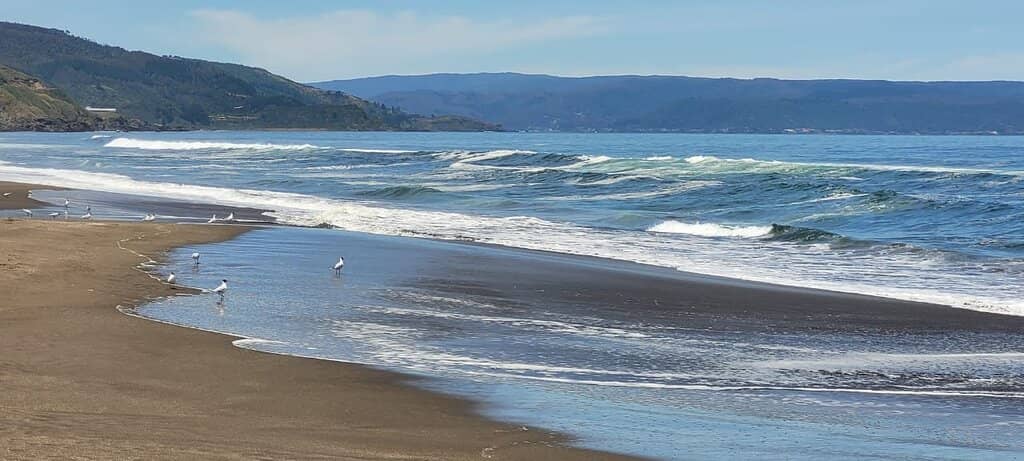 Punta Curiñanco Reserve