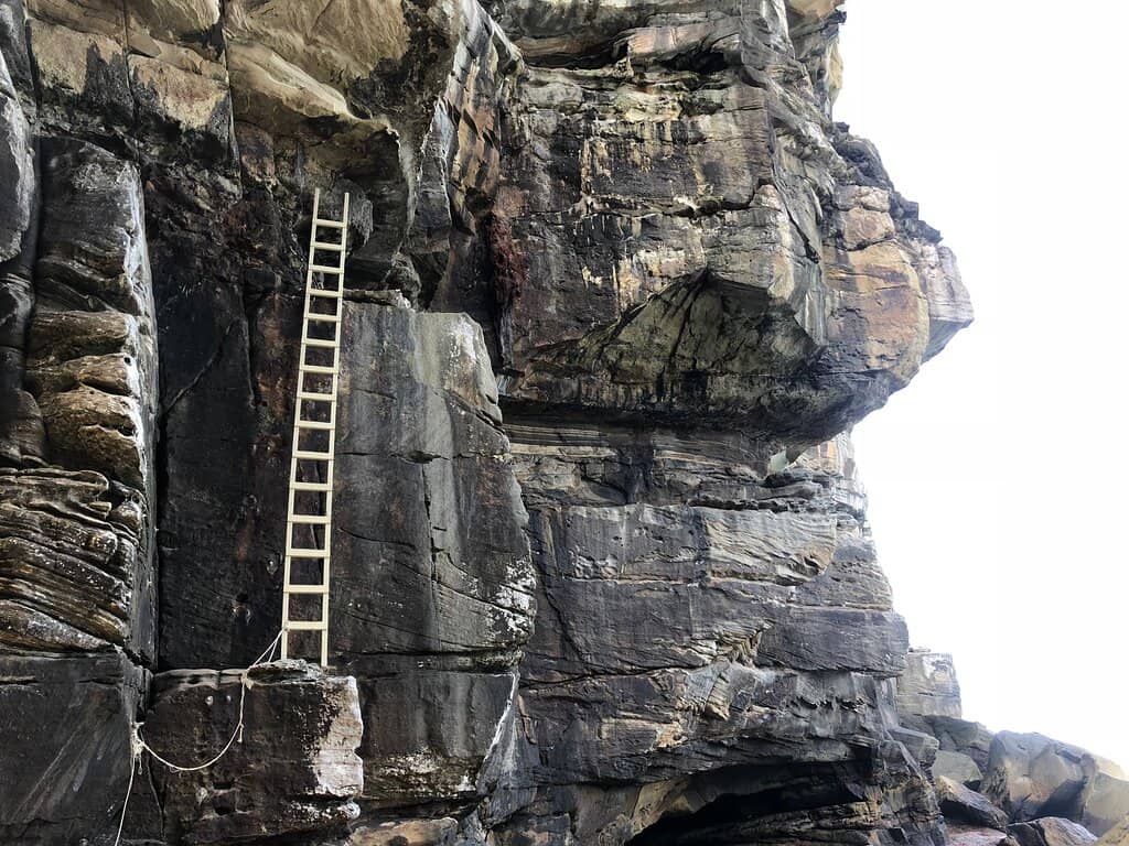 Vertical photo