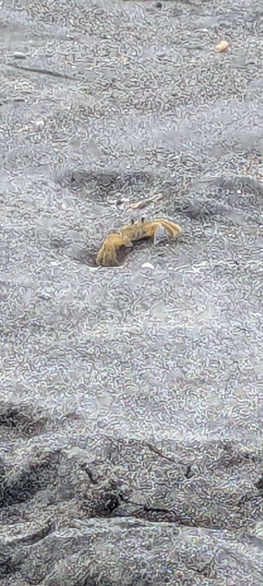 Storm Island Water Park