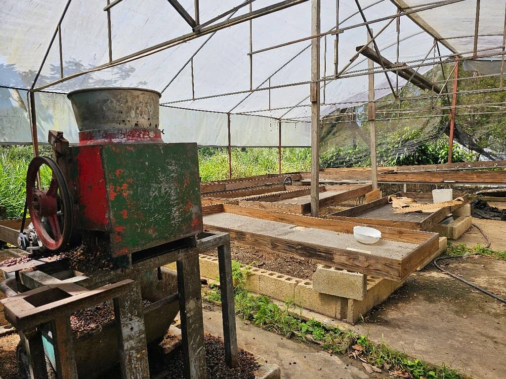 Scenic Mountain Views