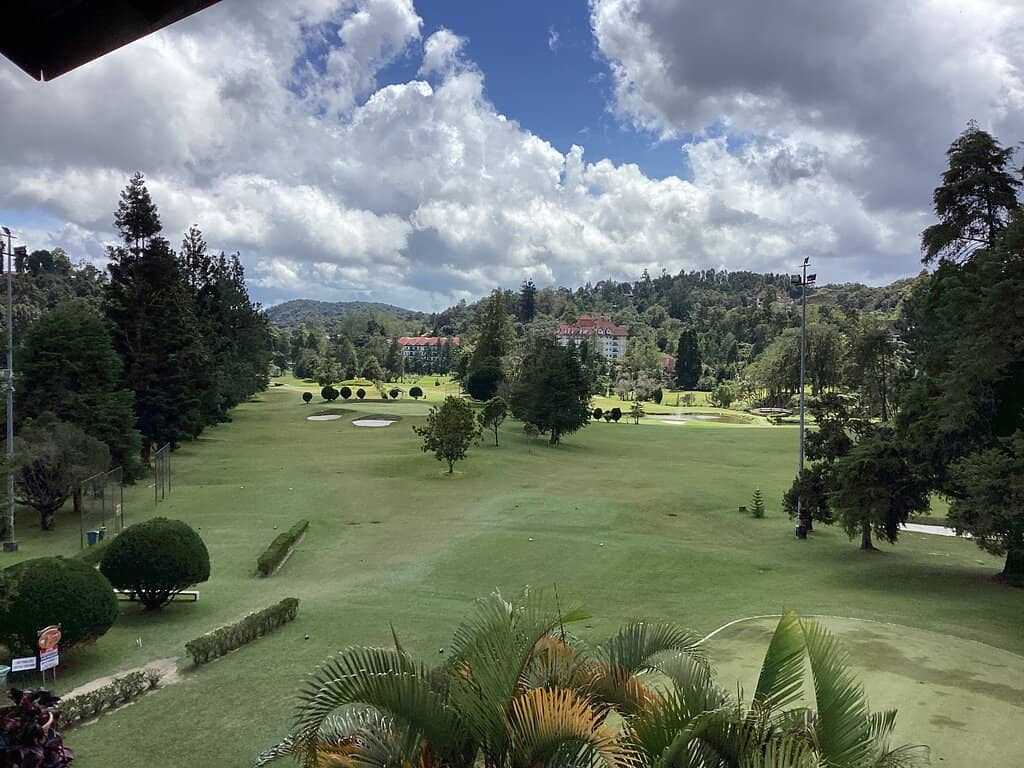 Challenging Greens