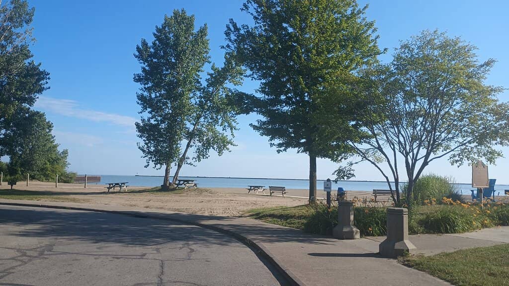 Dedicated Dog Swim Area