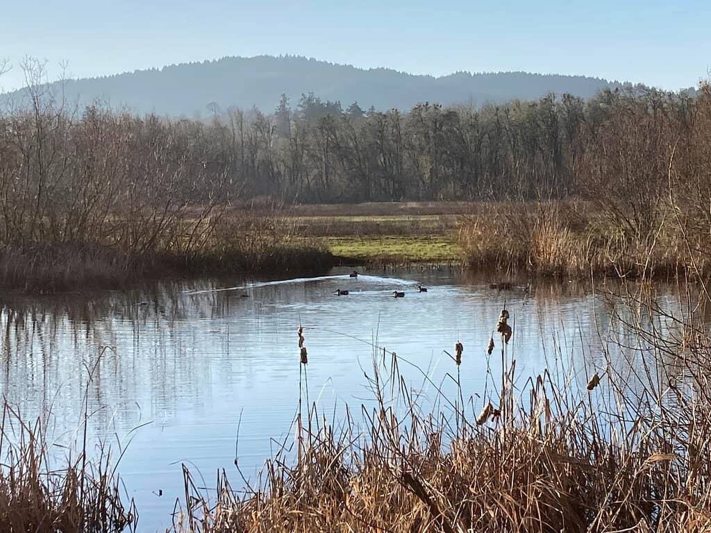 Abundant Wildlife Sightings