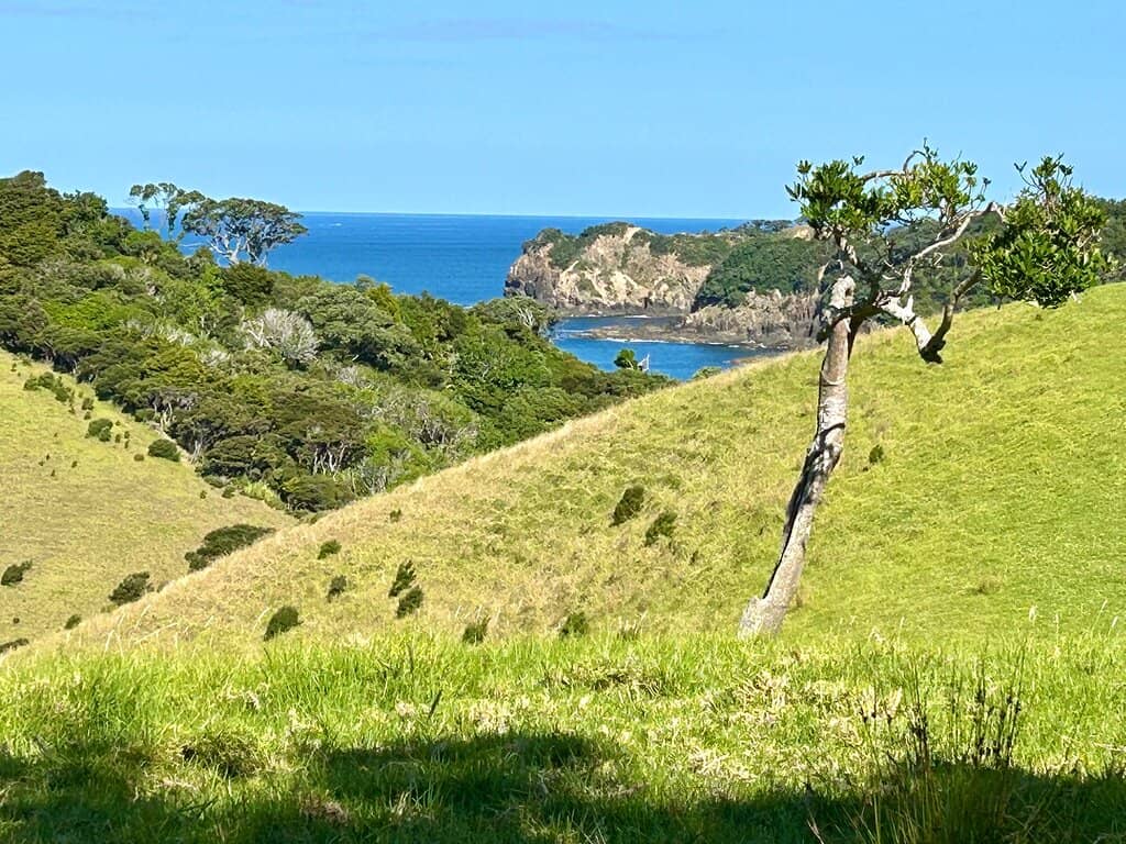 River Mouth Swimming