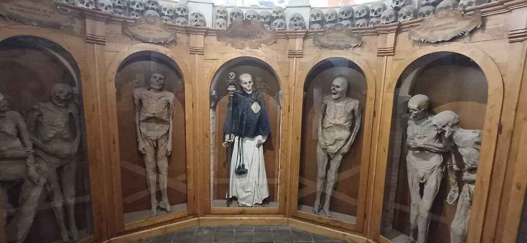 Knowledgeable Guided Tours
