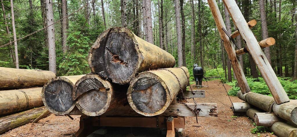 Logging Museum Trail