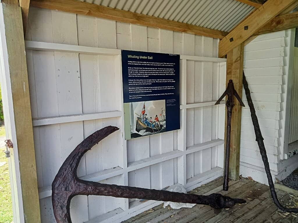 Zane Grey Memorabilia