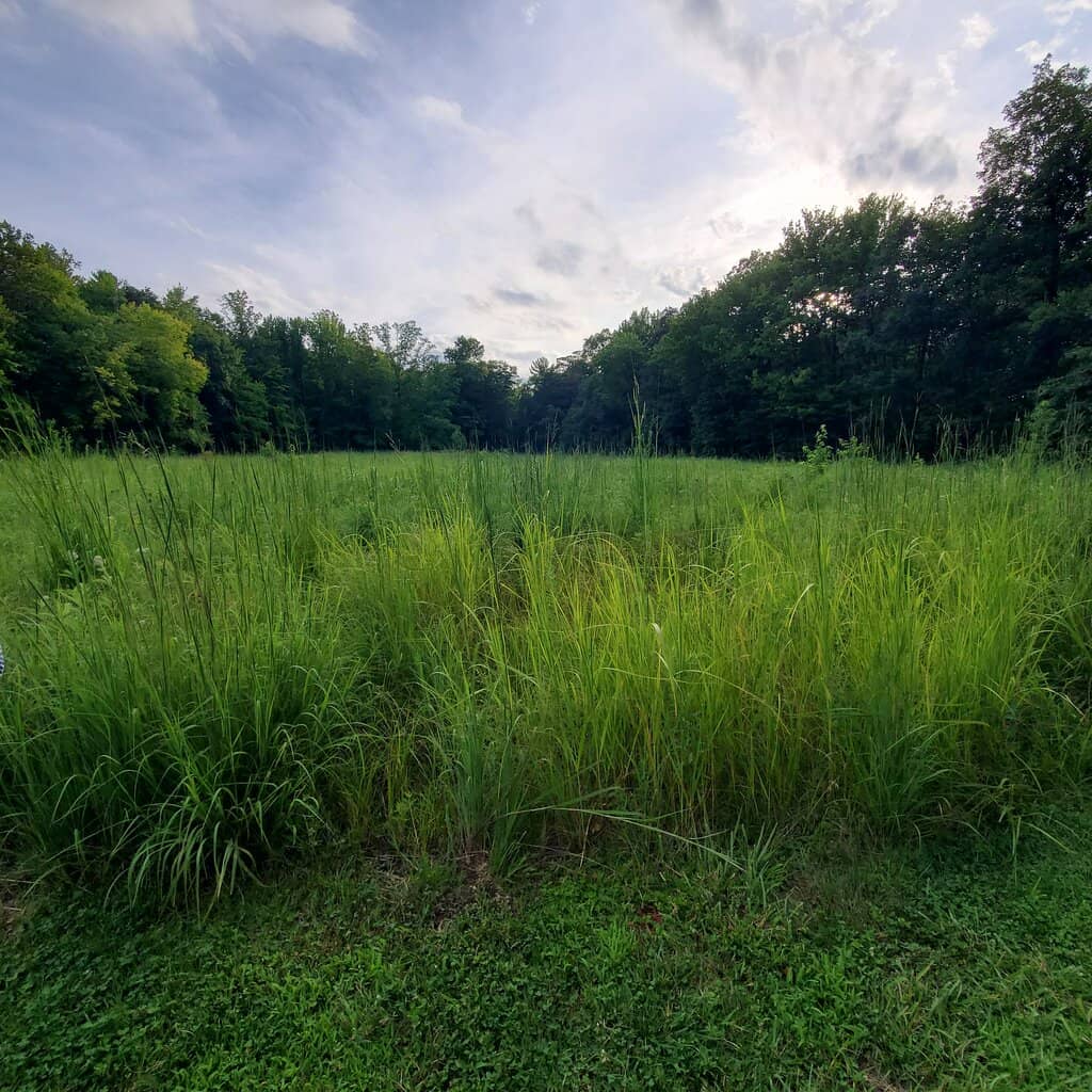 My Mountain Overlook