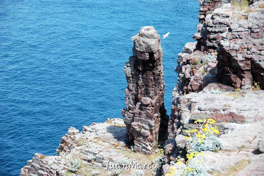 Vertical photo
