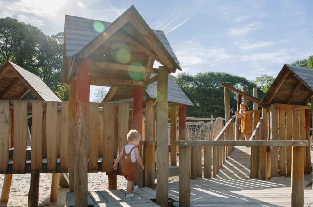 Diverse Wildlife Encounters