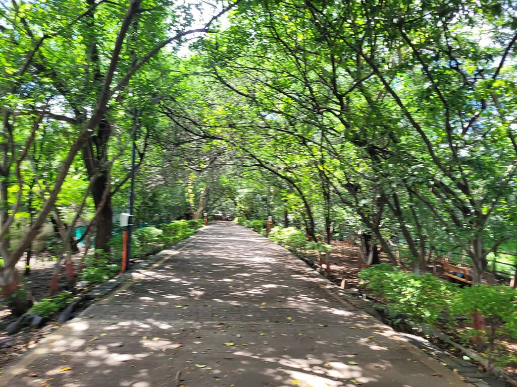Musical Fountain Show
