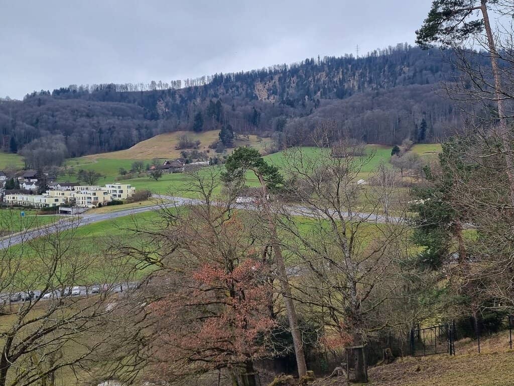 Grill Spots & Picnic Areas