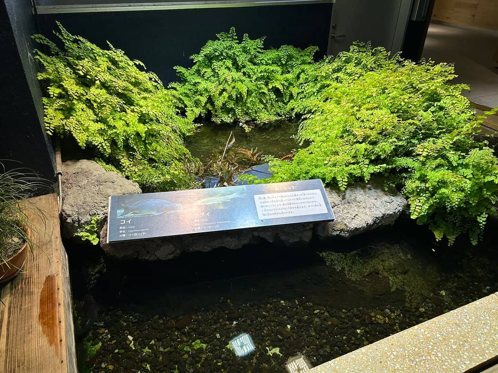 Aquatic Life Park