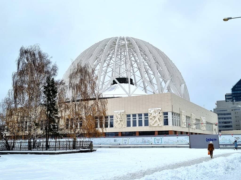 Talented Animal Acts