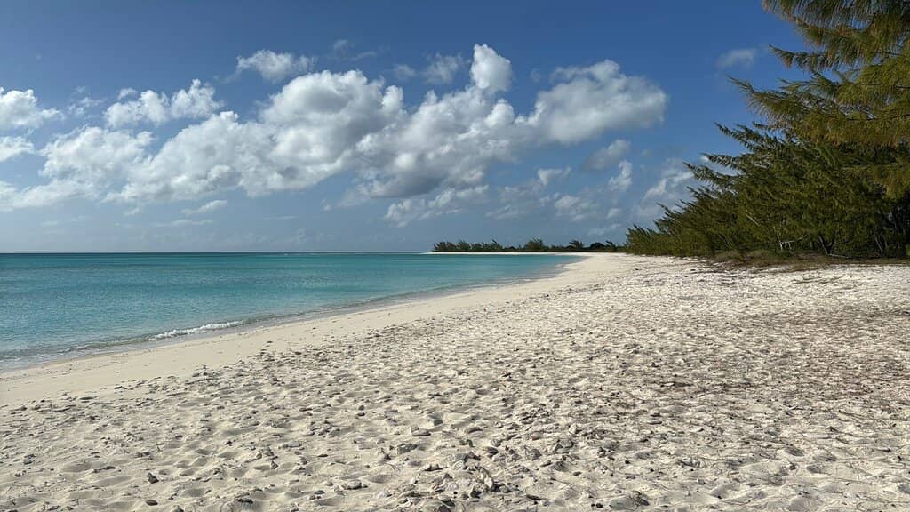 Jackson's Hole Bar & Grille