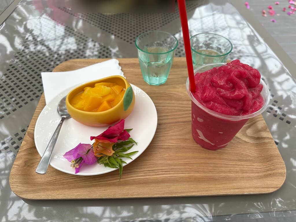 Vibrant Flower Gardens