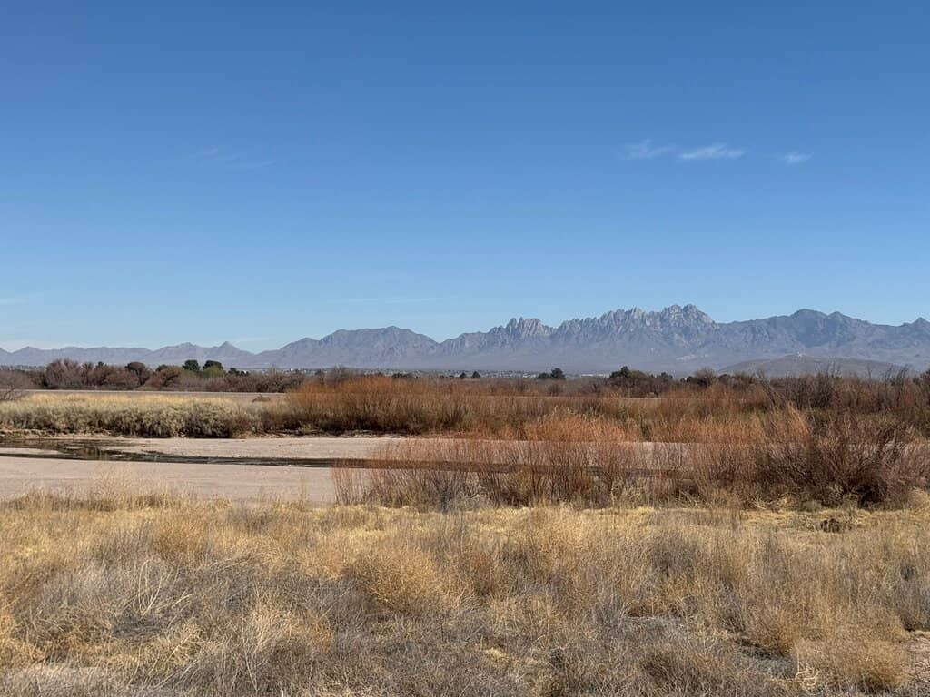 Birdwatching Hotspots