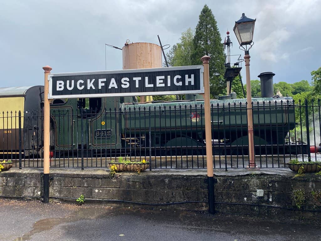Panoramic River Dart Views