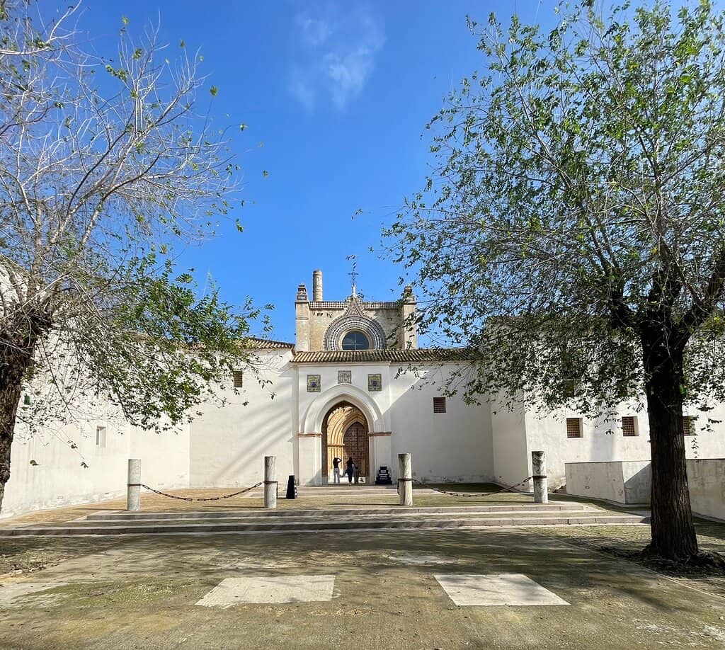 Contemporary Art Exhibitions