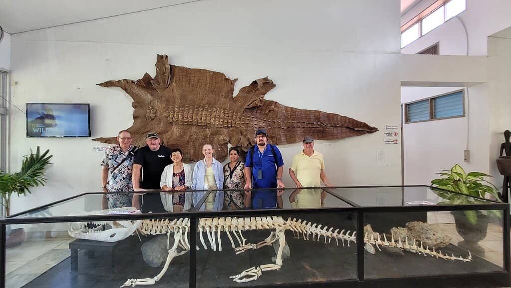 Adult Crocodile Enclosures