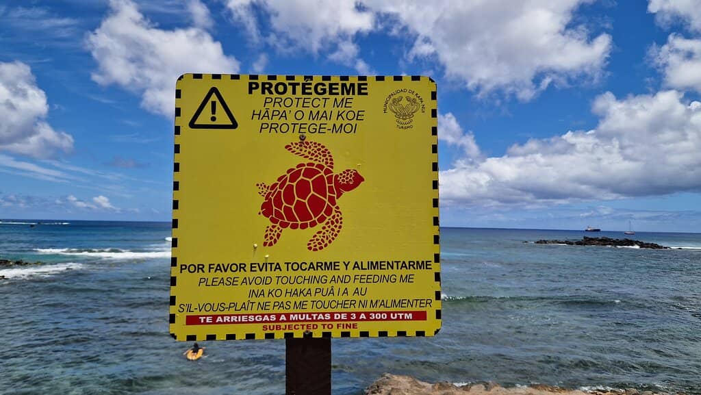 Rocky Cove Exploration