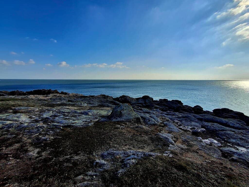 Picnic Spots with a View