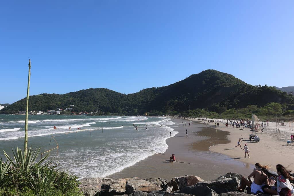 Telescopic Observation