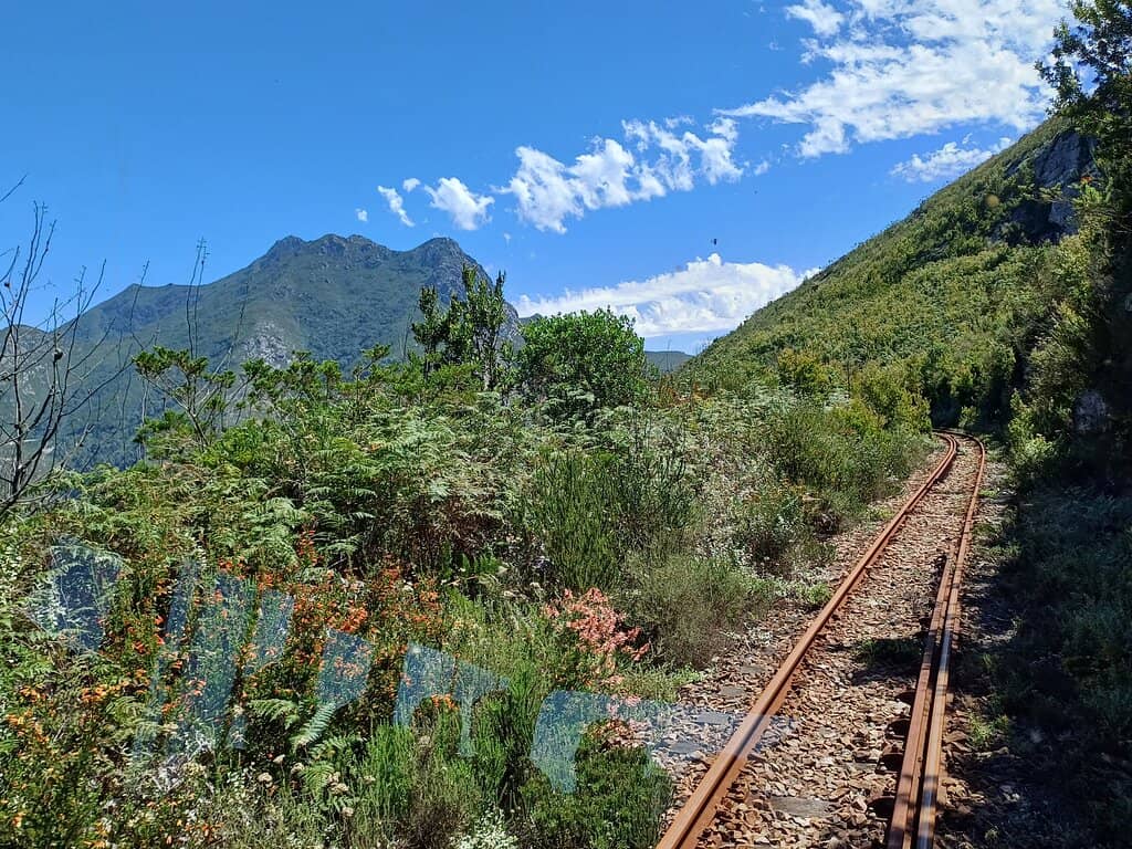 Outeniqua Transport Museum