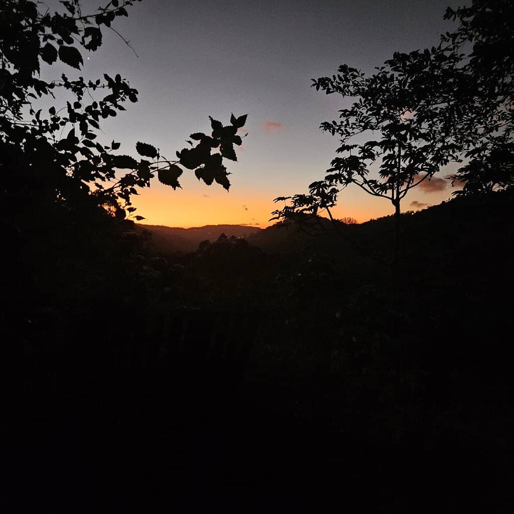 Expert Guide Insights