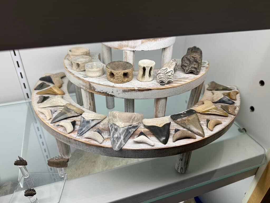 Fluorescent Mineral Exhibit