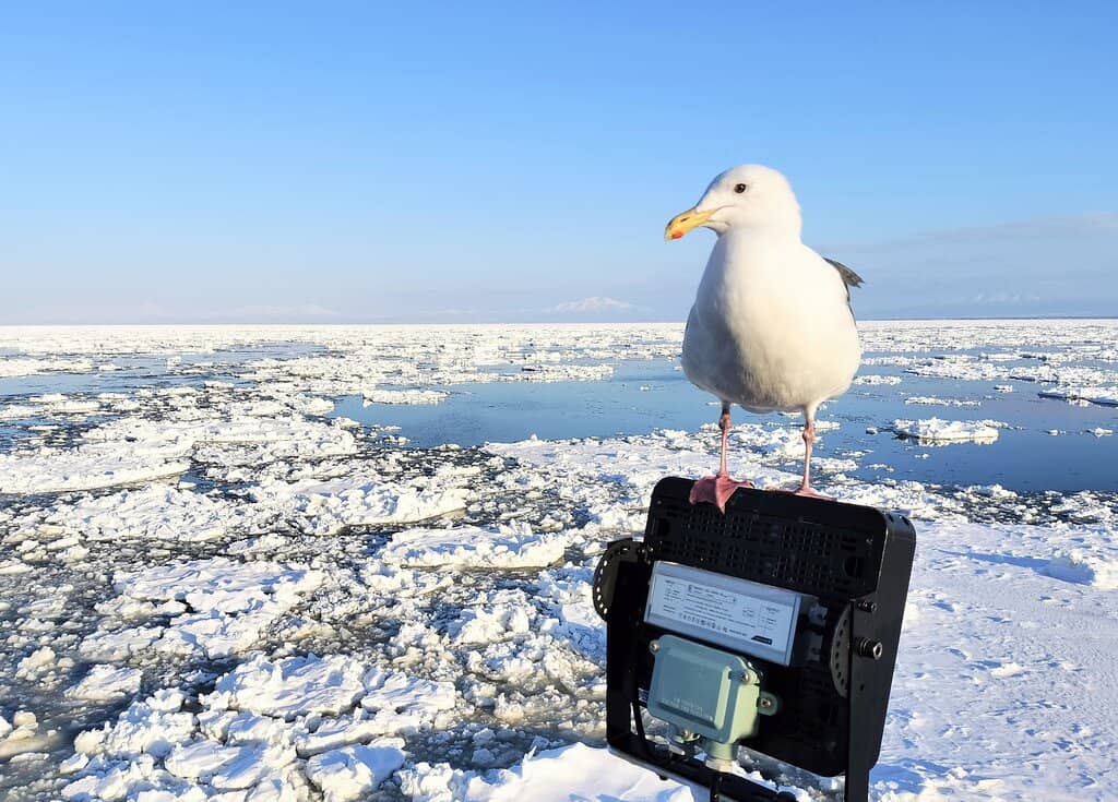 Shiretoko Mountain Range View