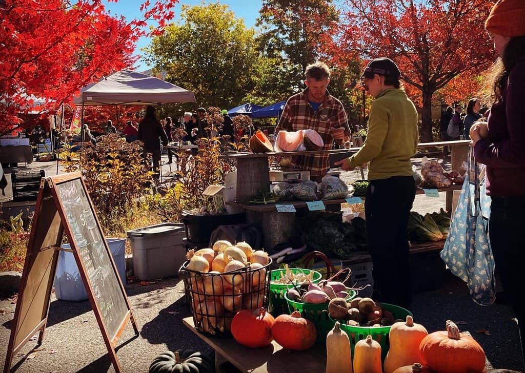 Unique Fermented Foods