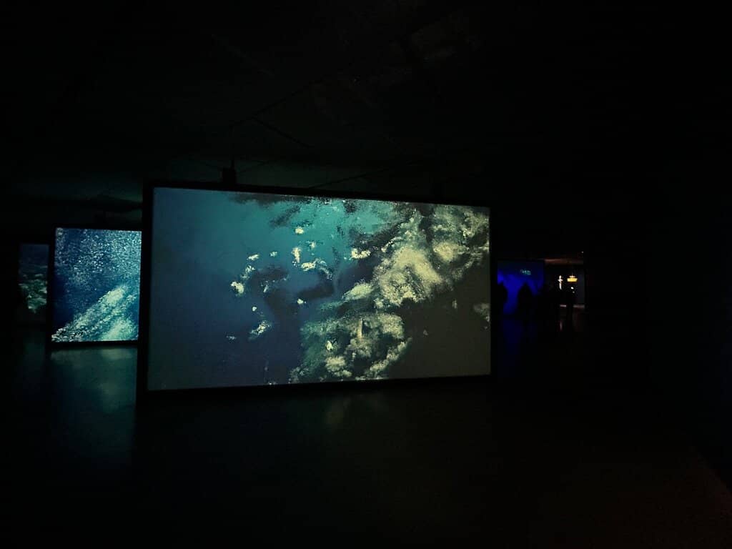 William Klein Exhibition