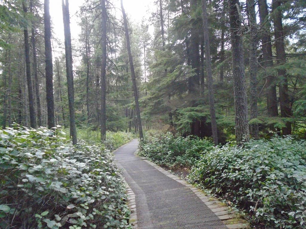 Scenic Boardwalk Trails