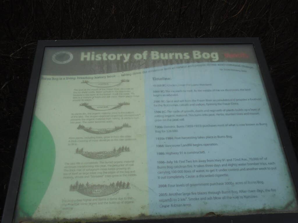 Wildlife Spotting Opportunities