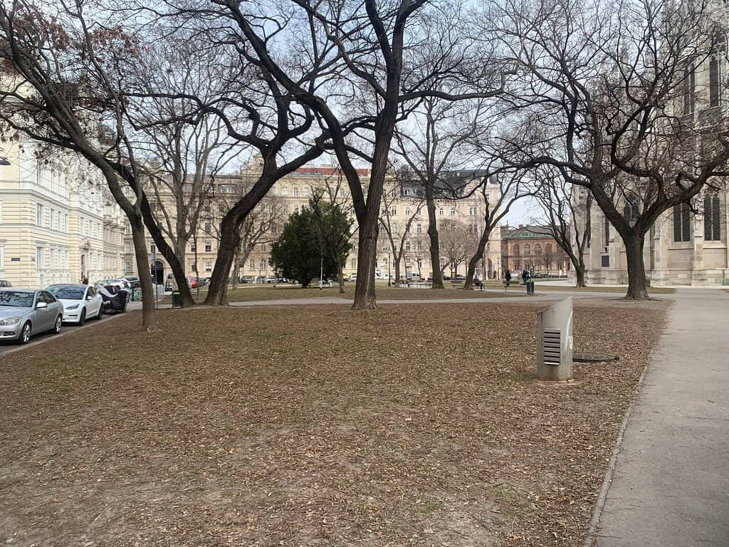 Relaxing Green Space