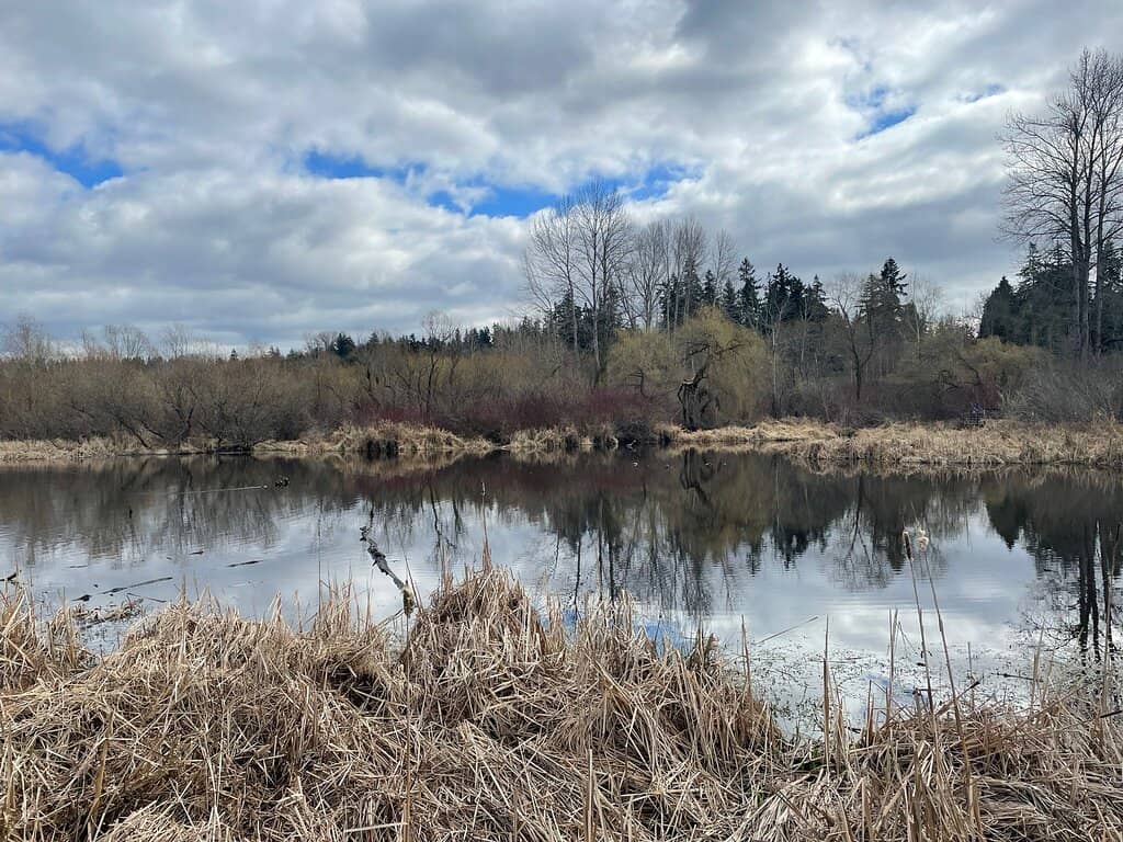 Urban Wildlife Encounters