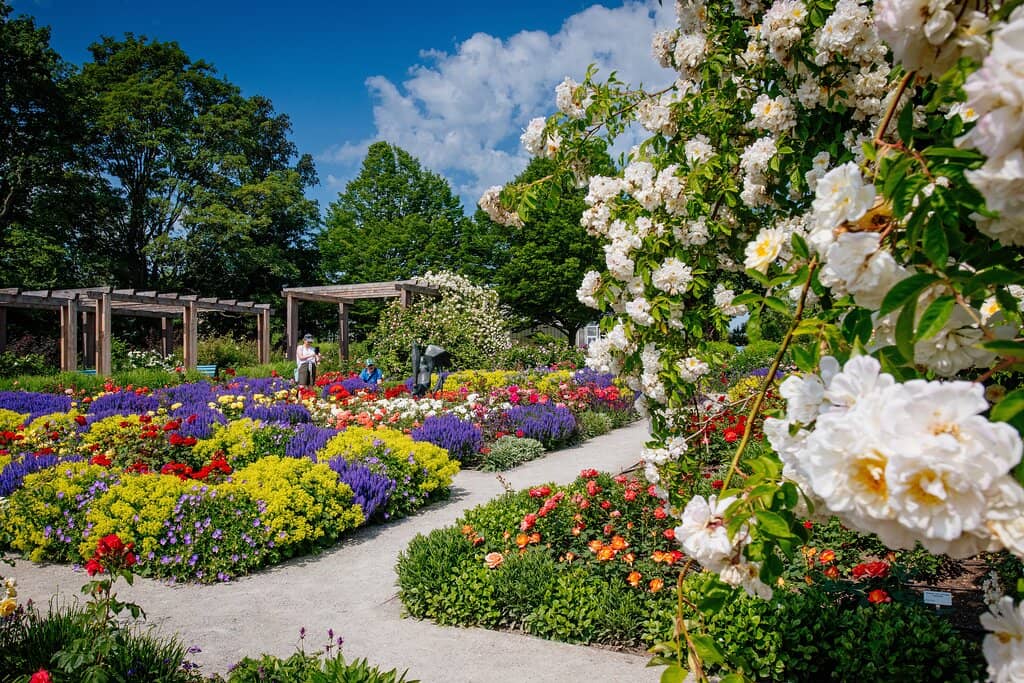 Thuringia's Largest Playground
