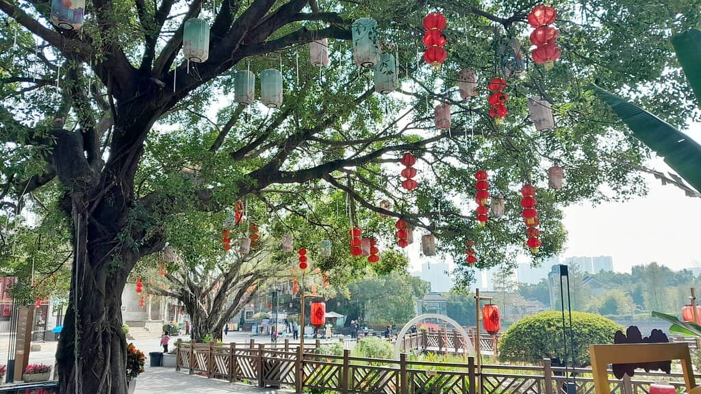 Folk Customs Performances