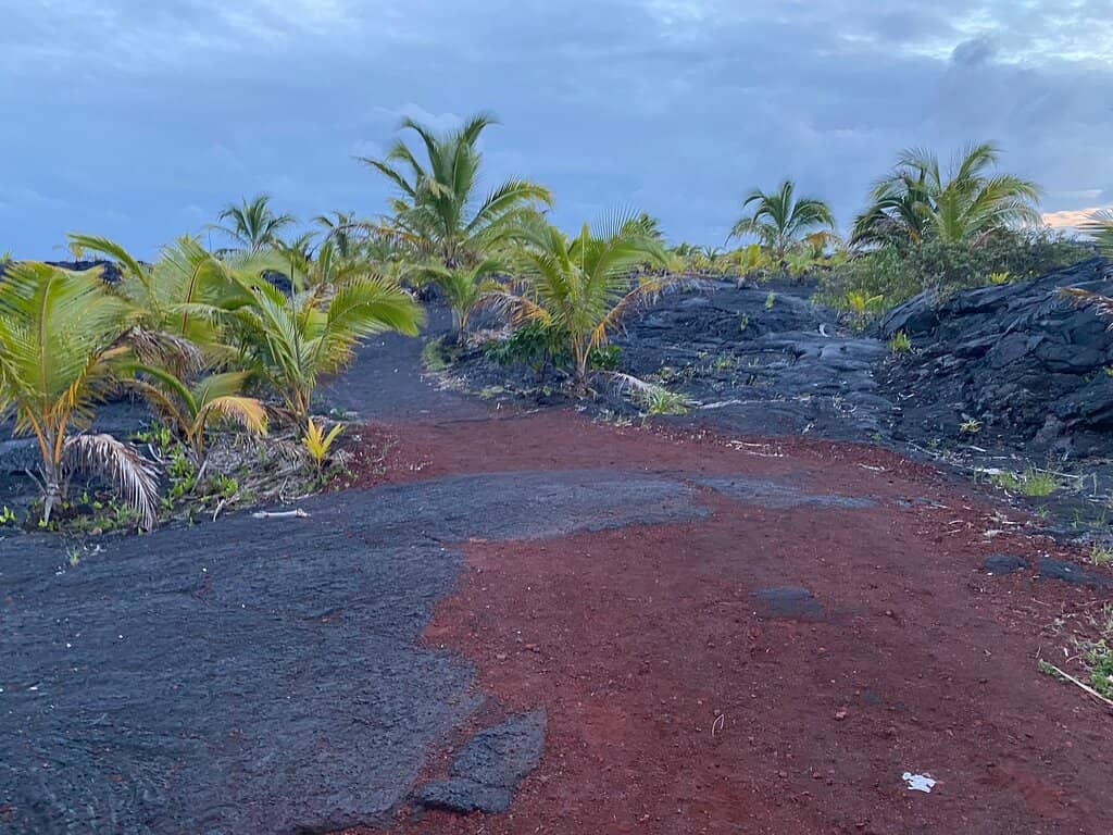 Kalapana Views