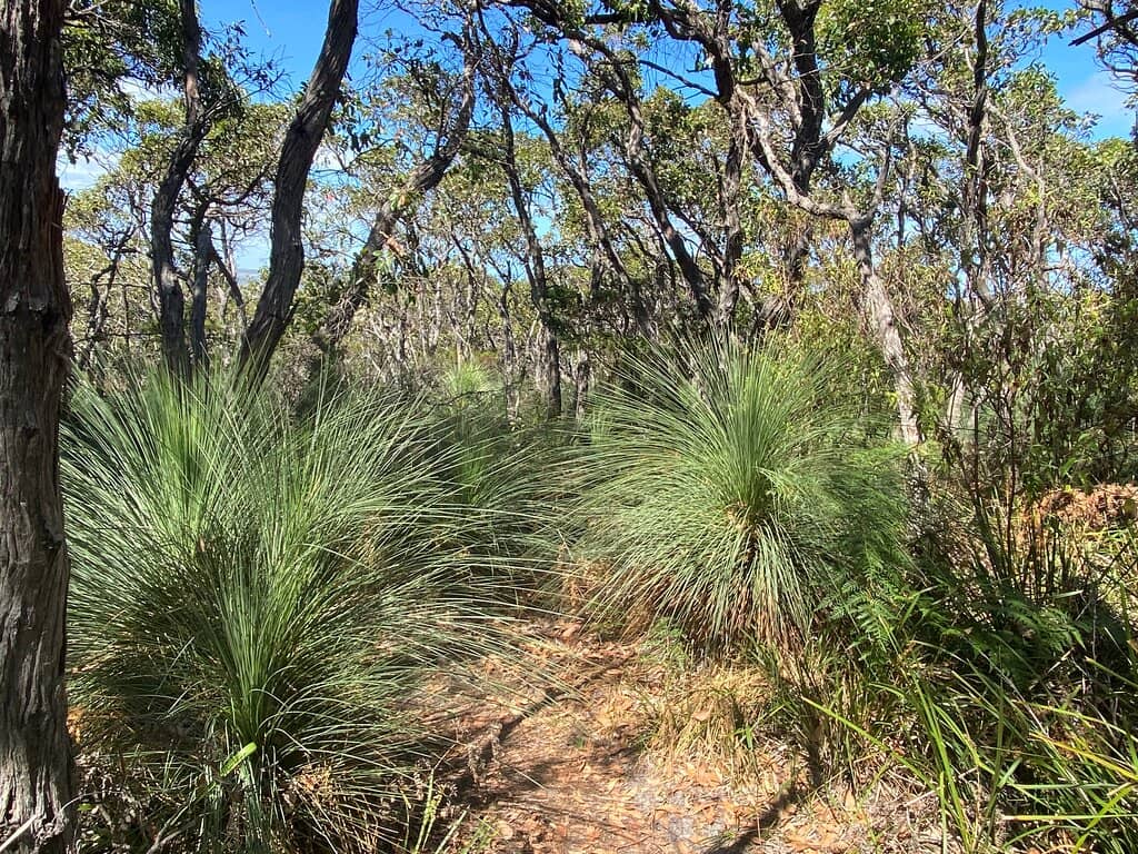 Coastal Beach Stroll