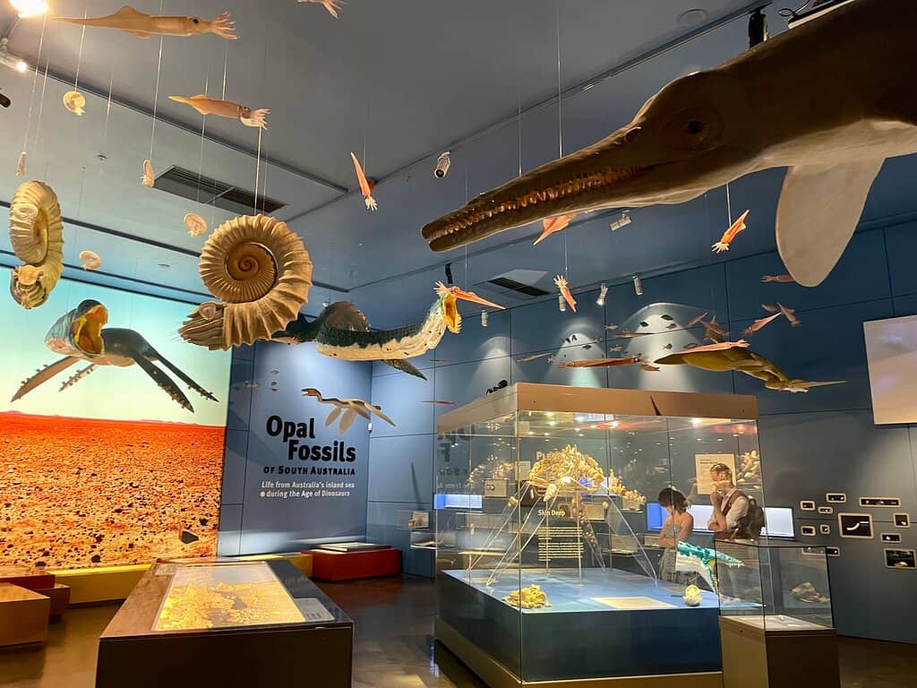 Discovery Centre