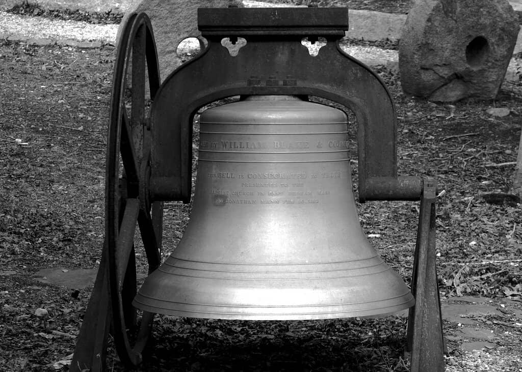 Tranquil Pond and Woodland Paths