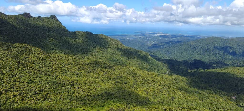 Panoramic Vistas