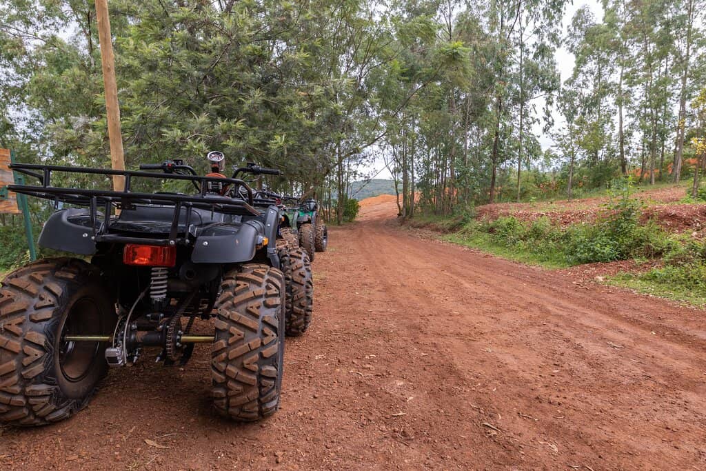 Scenic Horseback Riding
