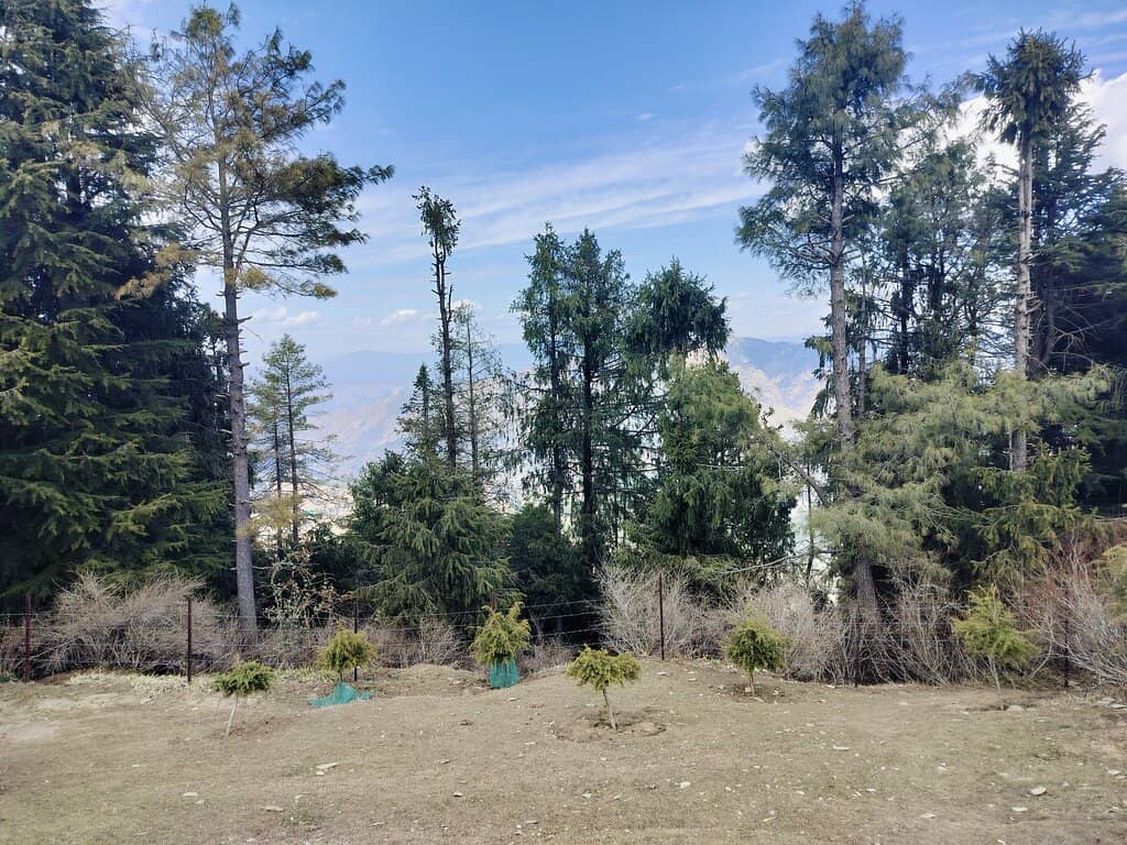 Panoramic Himalayan Views